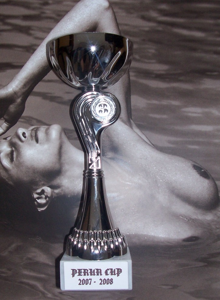 Zimní PerunCup 2007-2008 pohar 003.jpg